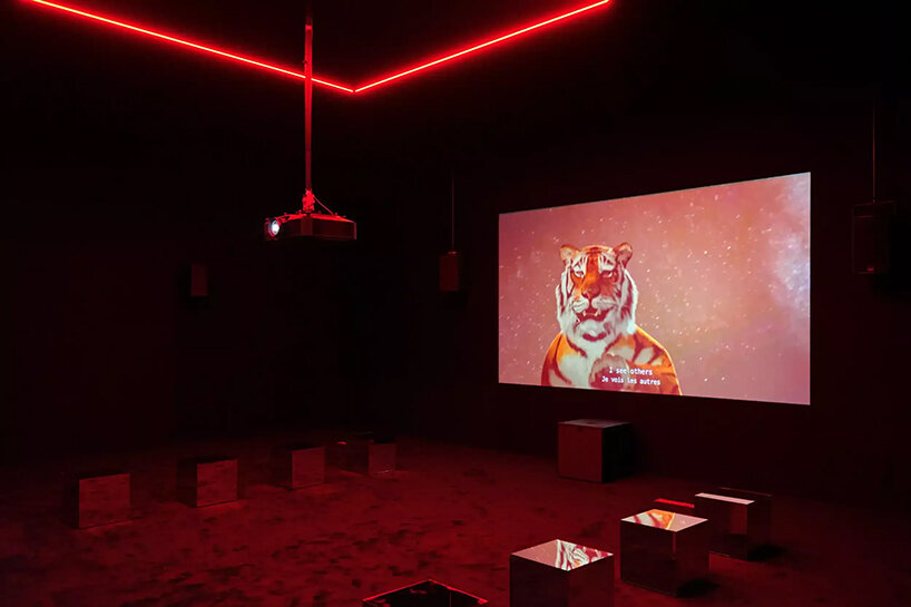 arles is buzzing this summer: designboom's mini guide to the french city