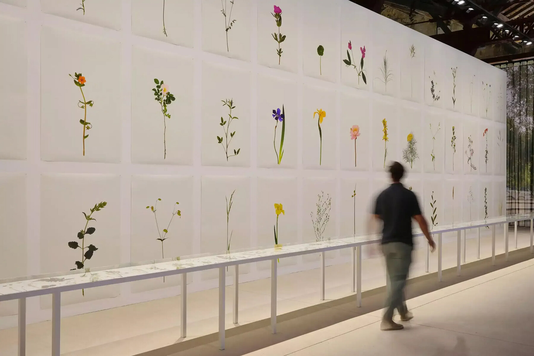 arles is buzzing this summer: designboom's mini guide to the french city