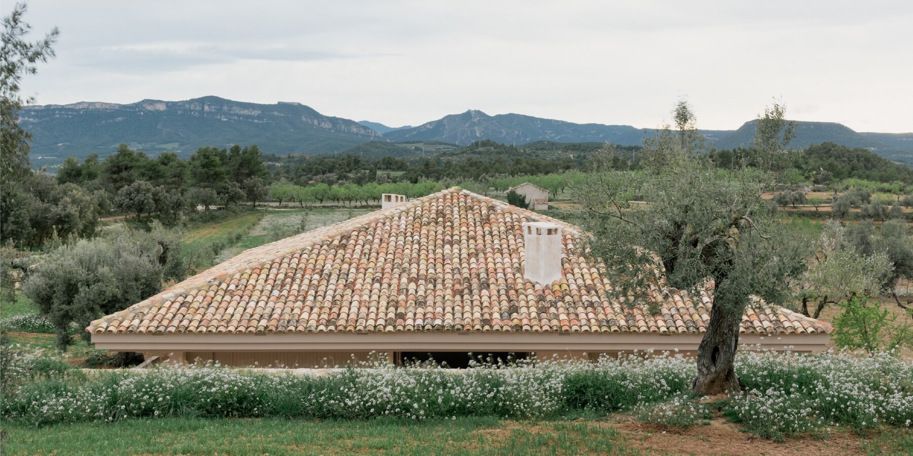 casa-ef-mdba-architects-spain-designboom-01