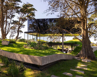 casa moro's green concrete mantle follows natural slope of forested terrain in buenos aires