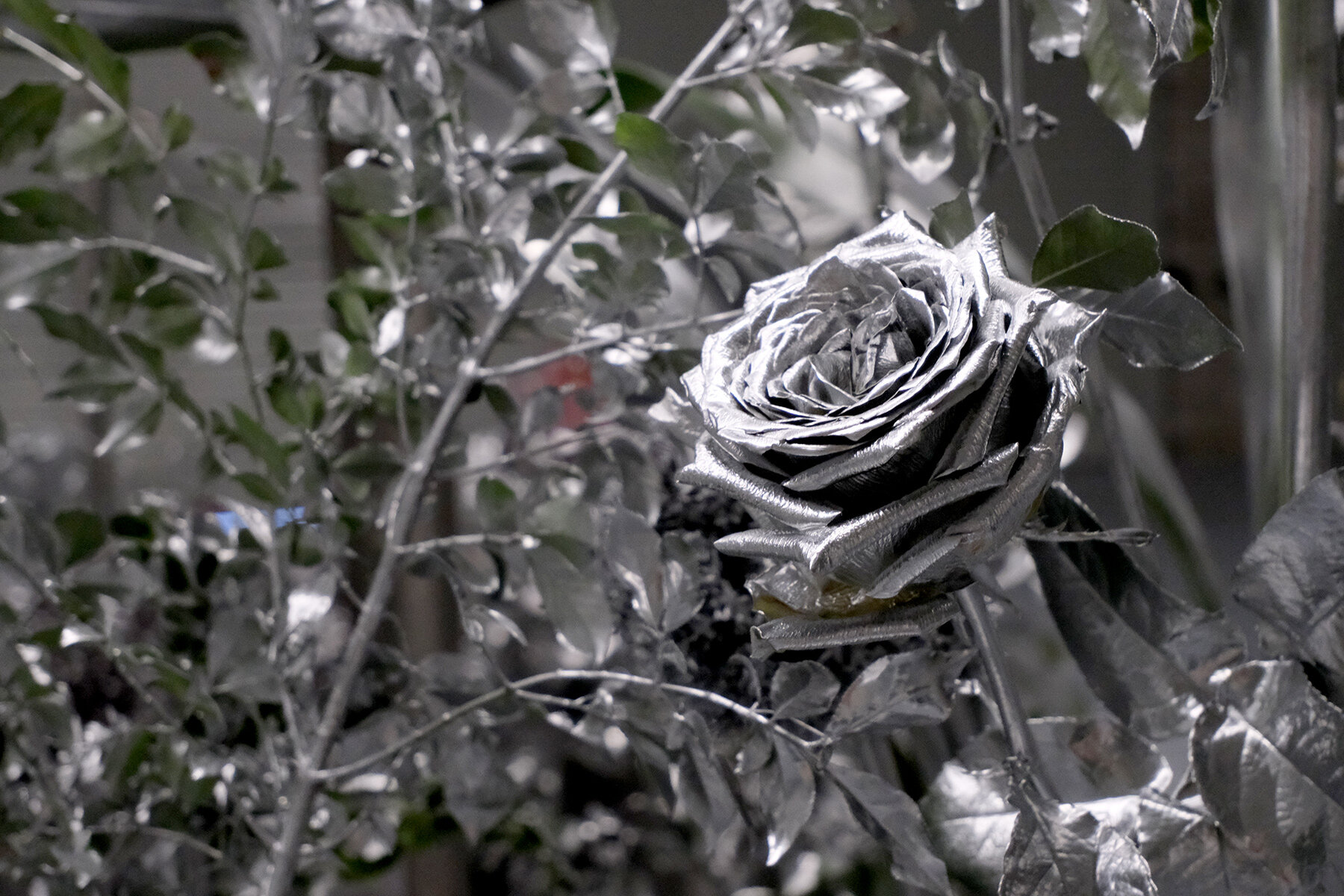 crosby-studios-flover-flower-room-exhibition-williamsburg-brooklyn-new-york-designboom-06a