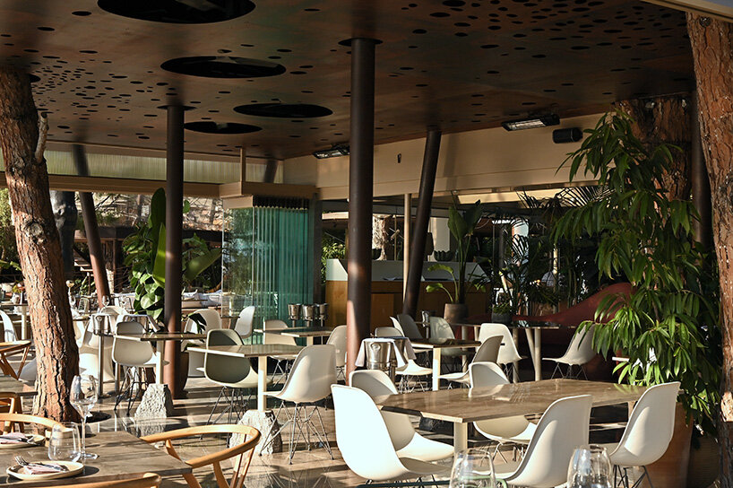 CTRLZAK channels filtered forest light in pine-inspired restaurant at ekies resort, greece