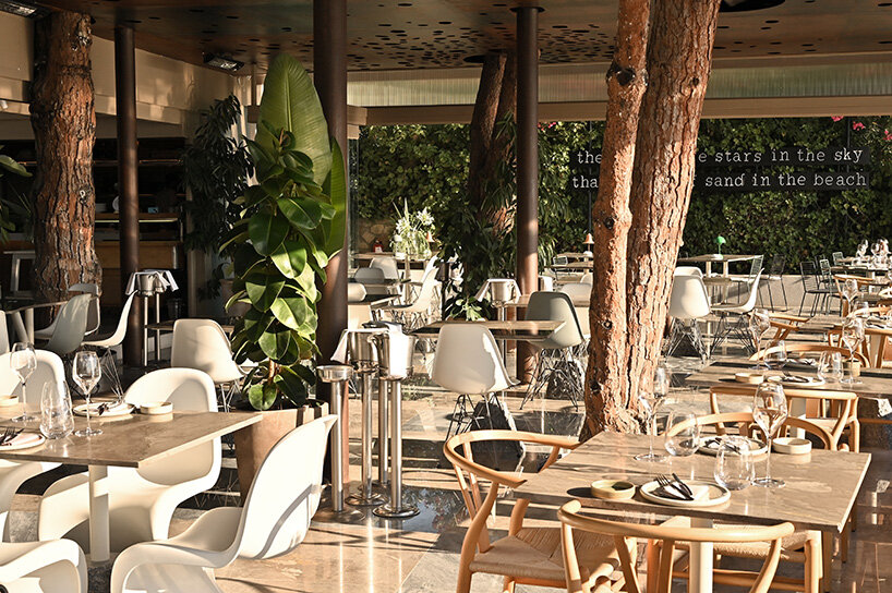 CTRLZAK channels filtered forest light in pine-inspired restaurant at ekies resort, greece