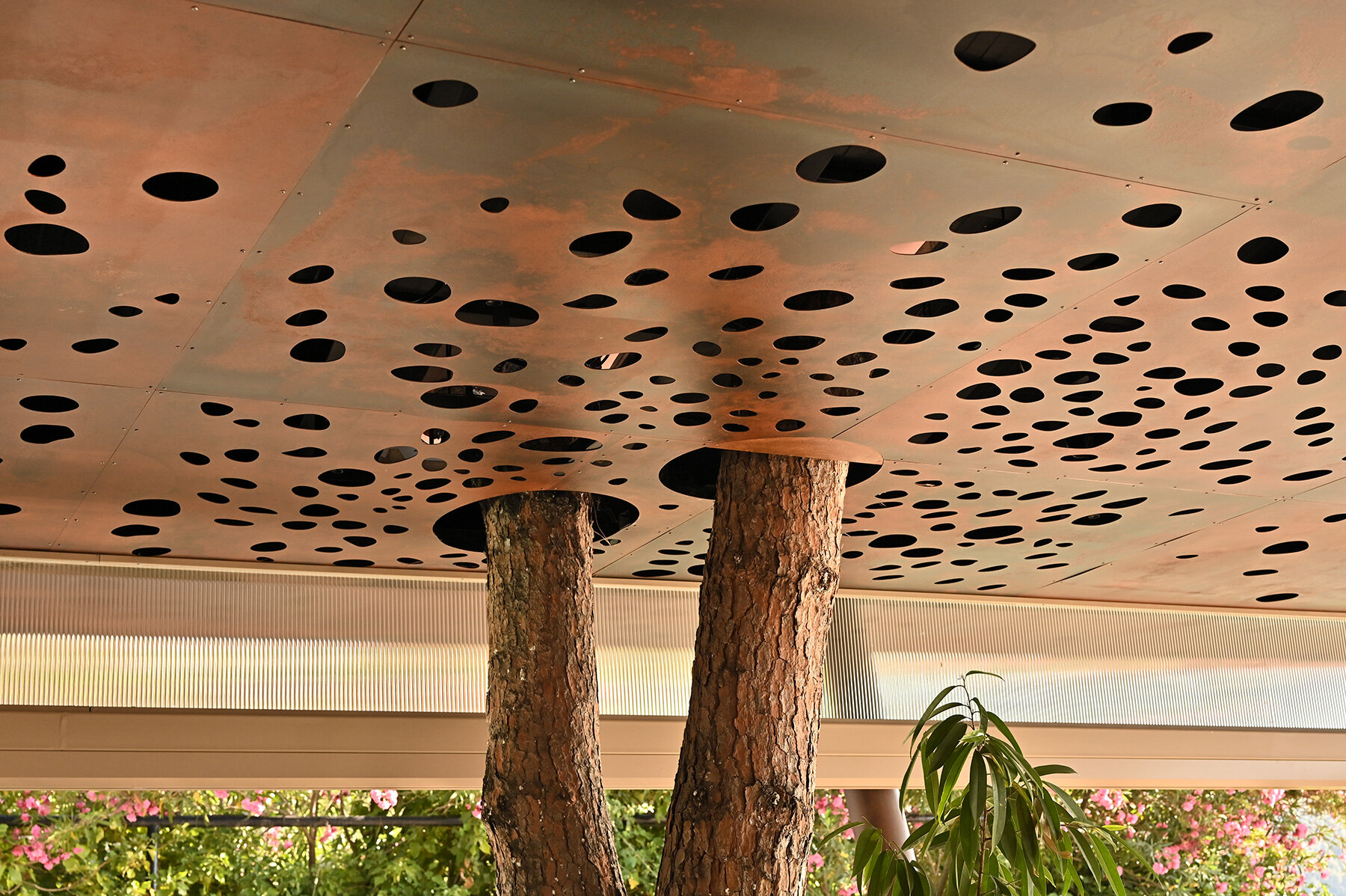 ctrlzak-filtered-forest-light-pine-inspired-restaurant-ekies-resort-greece-designboom-large01