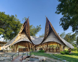 curved edges rise to form bull-like bamboo pavilion by chiangmai life architects in thailand