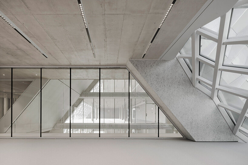 barozzi veiga dynafit