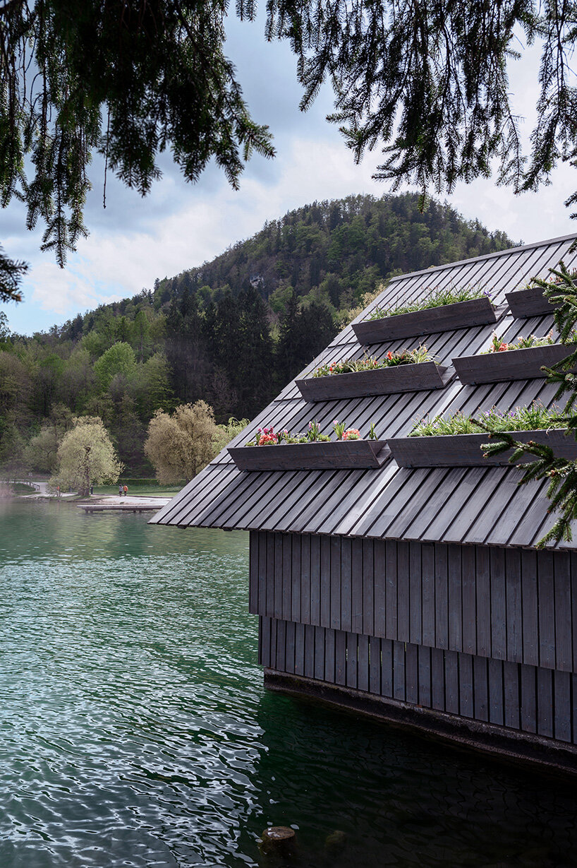 OFIS architects renovates boathouse in slovenia with rooftop garden that filters lake water