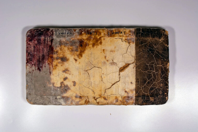 myco-type mycelium blocks