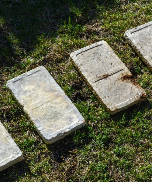 myco-type creates mycelium blocks and sheets with sawdust, coffee grounds and local waste
