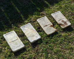 myco-type creates mycelium blocks and sheets with sawdust, coffee grounds and local waste