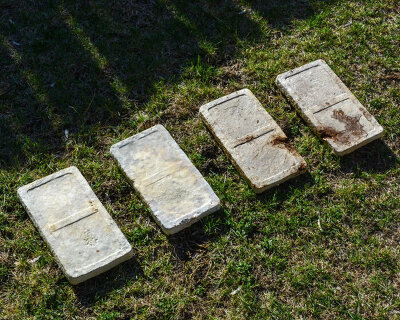 myco-type creates mycelium blocks and sheets with sawdust, coffee grounds and local waste