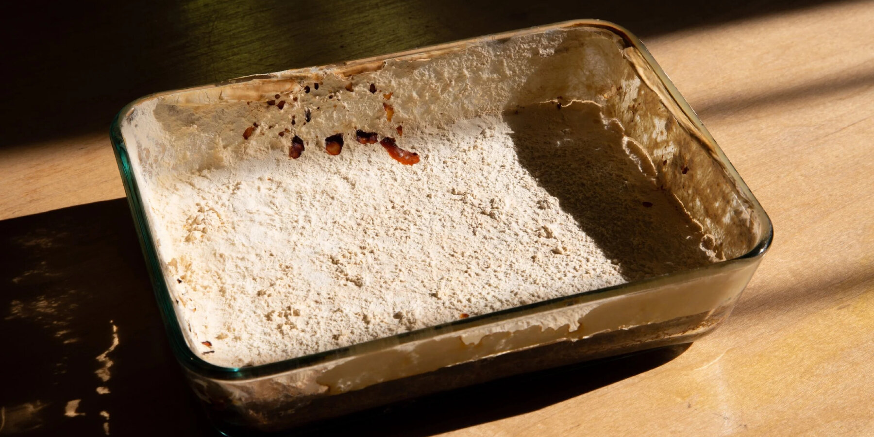 myco-type-mycelium-blocks-sheets-sawdust-coffee-grounds-local-waste-designboom-ban