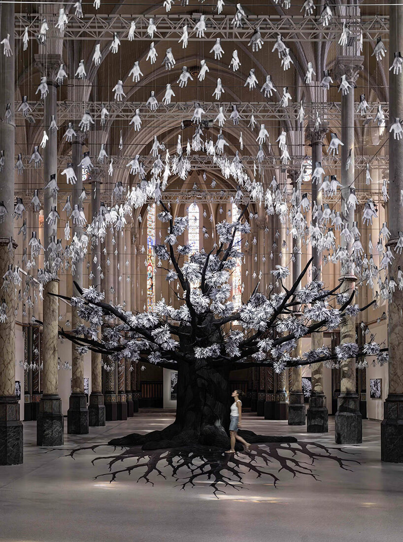 Particular tree scanned by JR in former Church of Montpelier