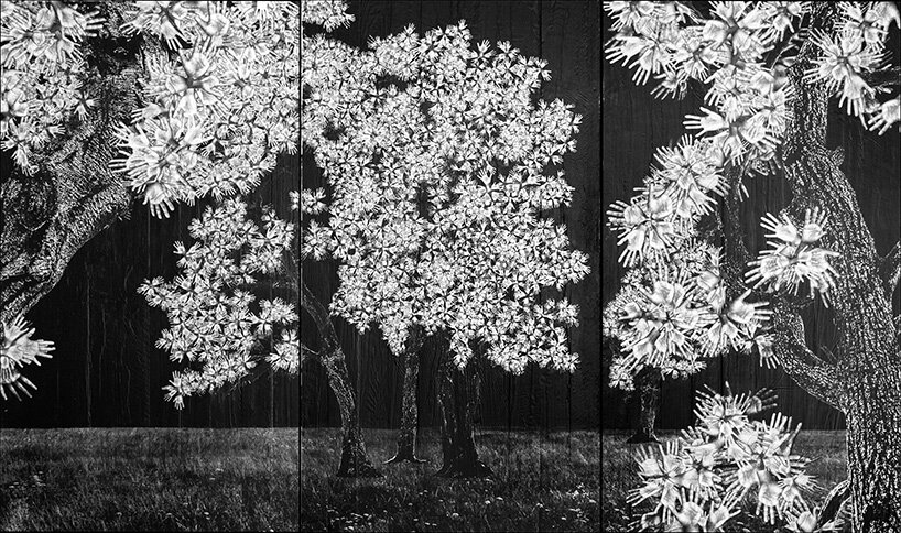 participatory tree of scanned hands by JR grows in montpellier's former church