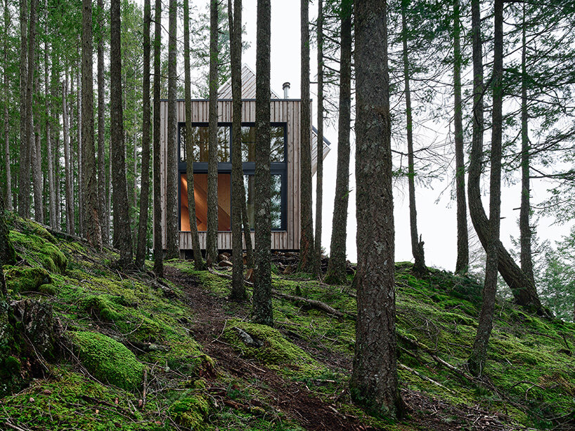prefabricated mass timber retreat by daria sheina studio lands on remote canadian island