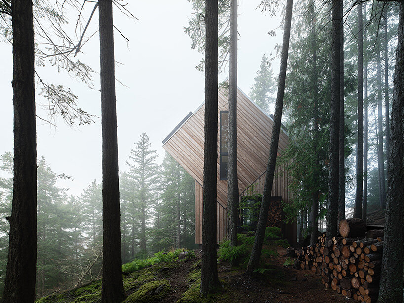 prefabricated mass timber retreat by daria sheina studio lands on remote canadian island