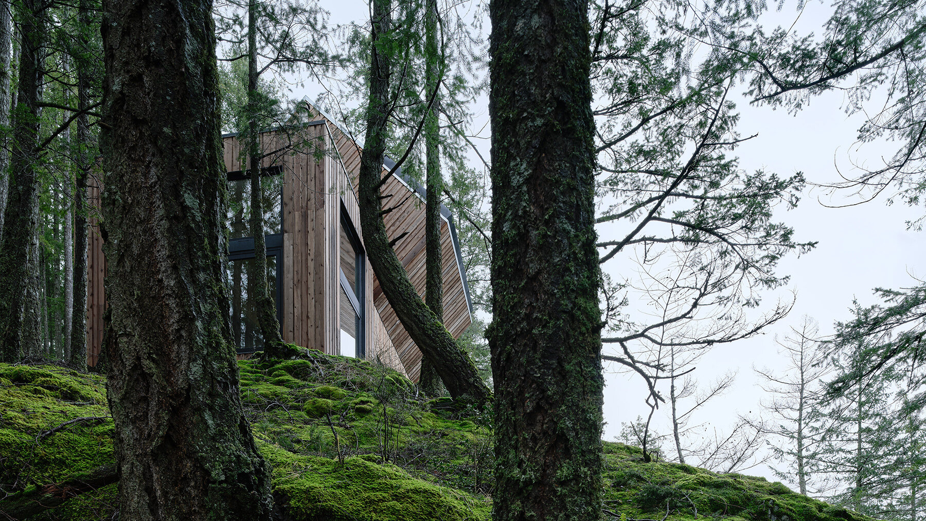 prefabricated-mass-timber-retreat-daria-sheina-studio-remote-canadian-island-designboom-large02