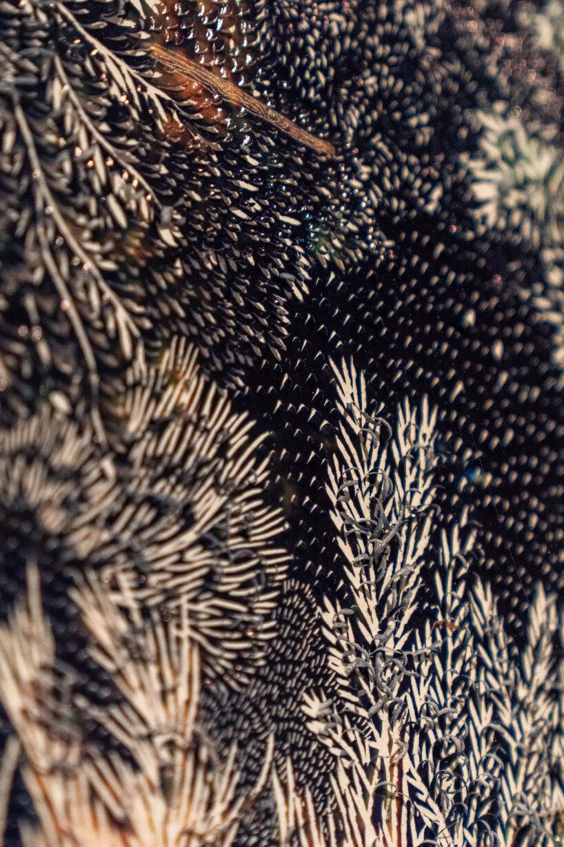 detailed view of the scratches