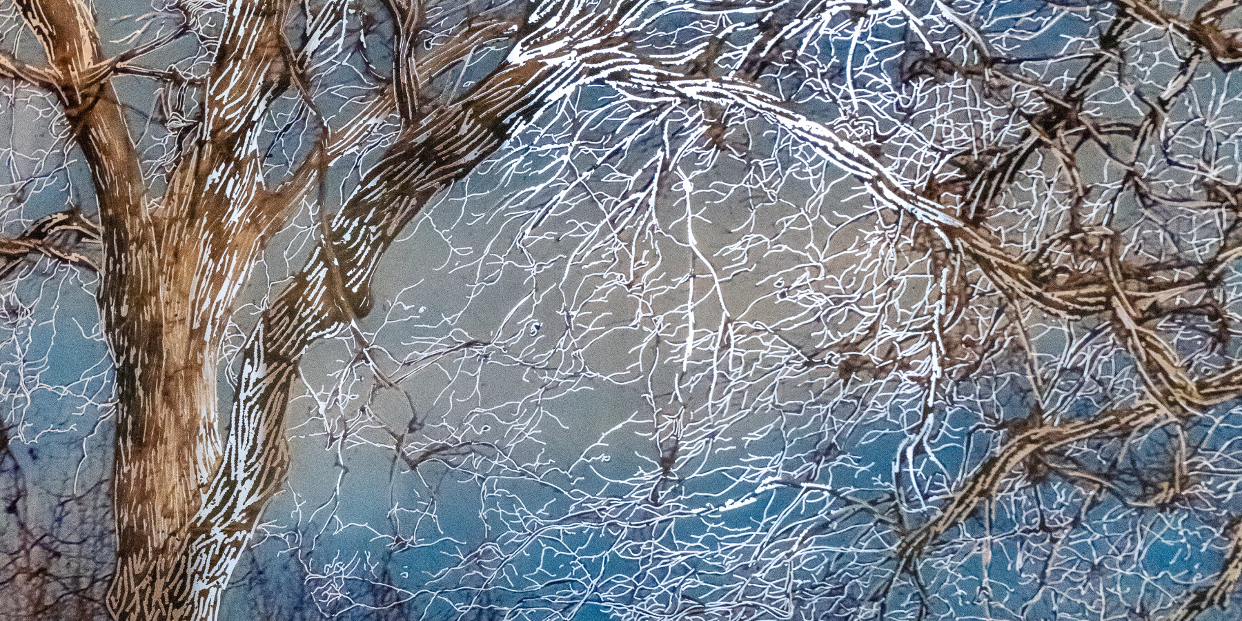 raphaëlle-peria-trees-threatened-fungus-BMW-rencontres-d’arles-exhibition-designboom-ban3