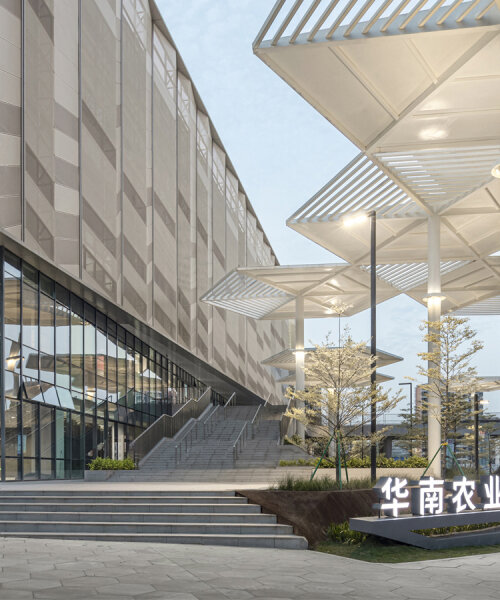 university campus gymnasium in south china blends athletics with urban vitality