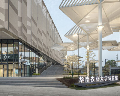 university campus gymnasium in south china blends athletics with urban vitality