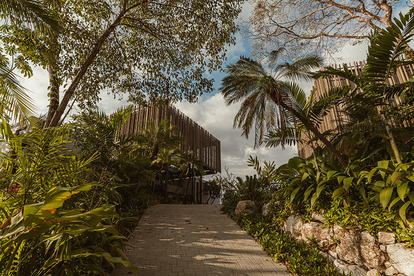 studio saxe screens its casa solai through bamboo brise soleil in costa rica