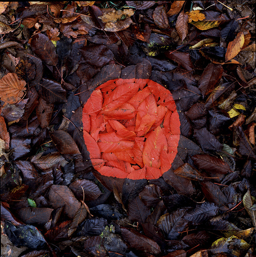 andy goldsworthy brings fifty years of land art indoors for his largest-ever show in edinburgh