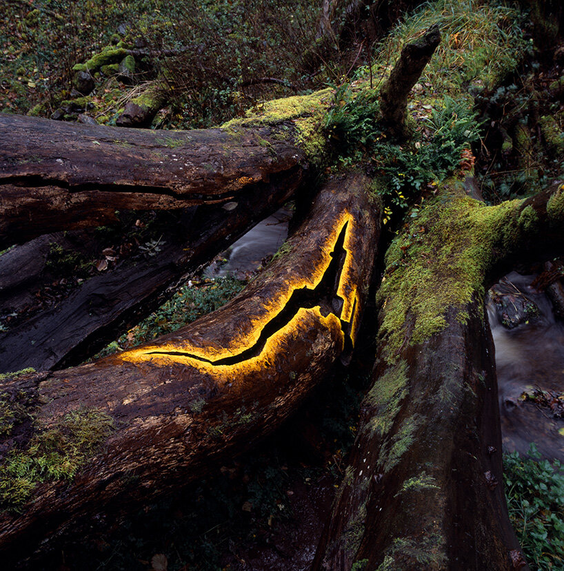 andy goldsworthy brings fifty years of land art indoors for his largest-ever show in edinburgh