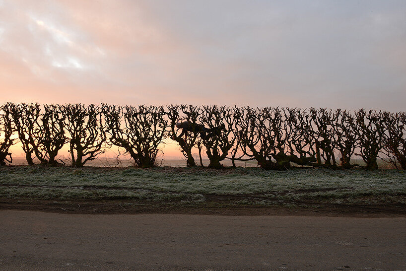 andy goldsworthy brings fifty years of land art indoors for his largest-ever show in edinburgh