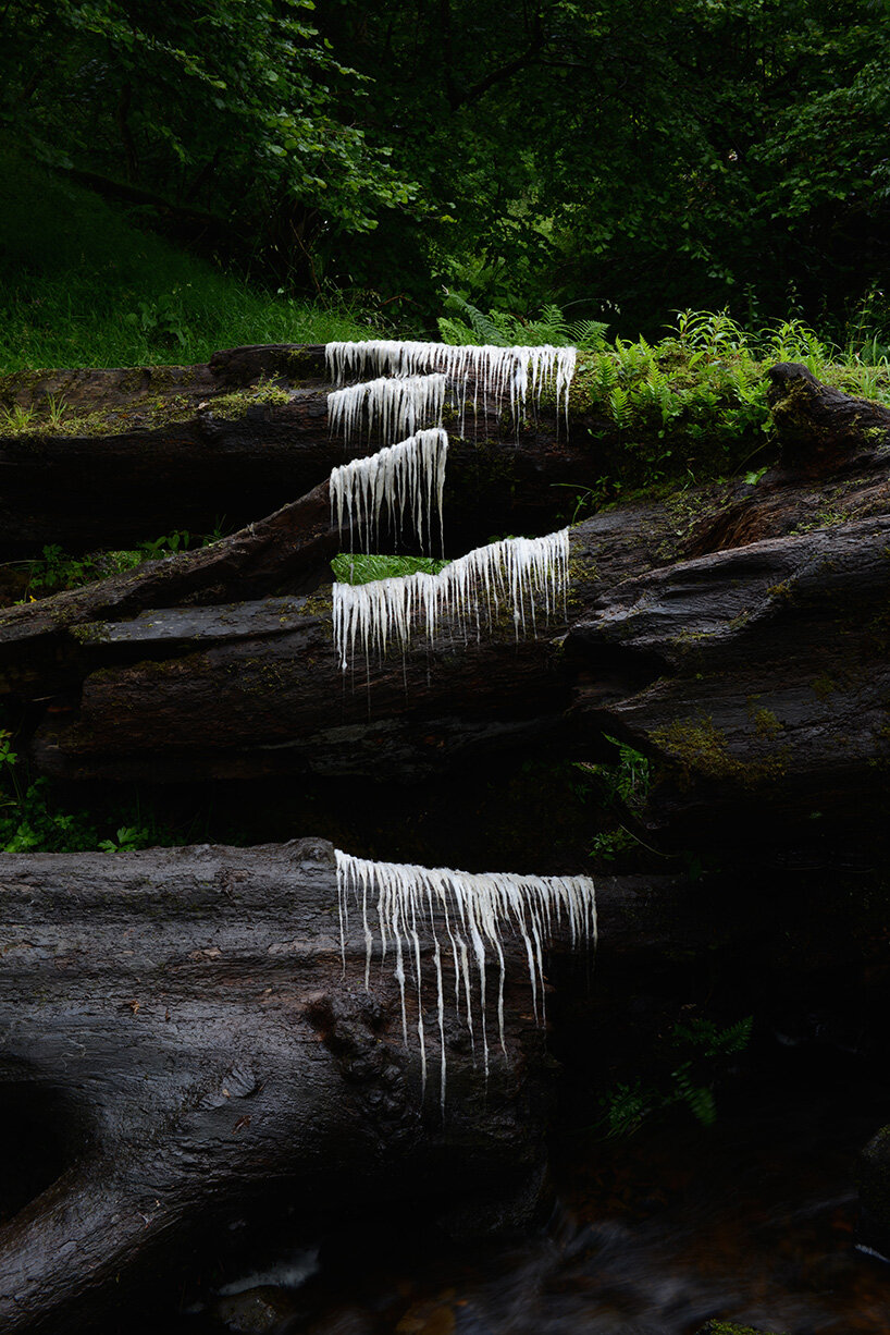 andy goldsworthy brings fifty years of land art indoors for his largest-ever show in edinburgh