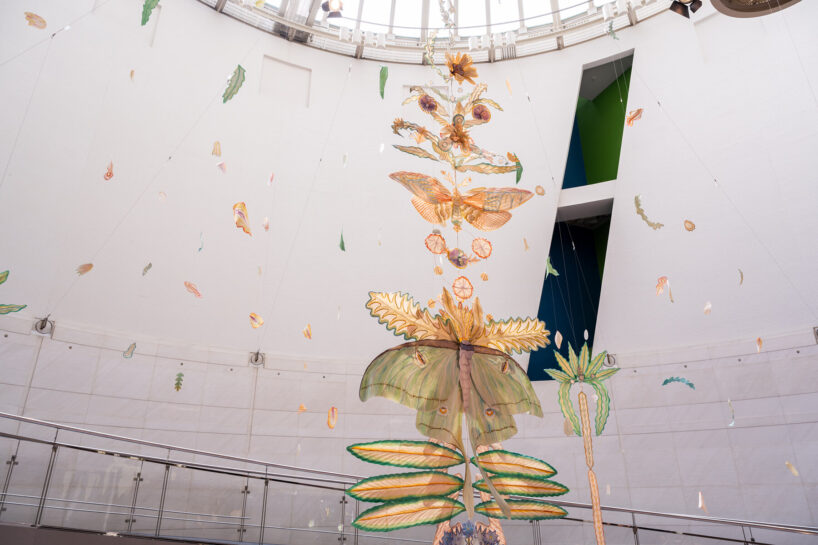 botanical sculptures by mona sugata grow from untreated cotton fabric and slow gestures