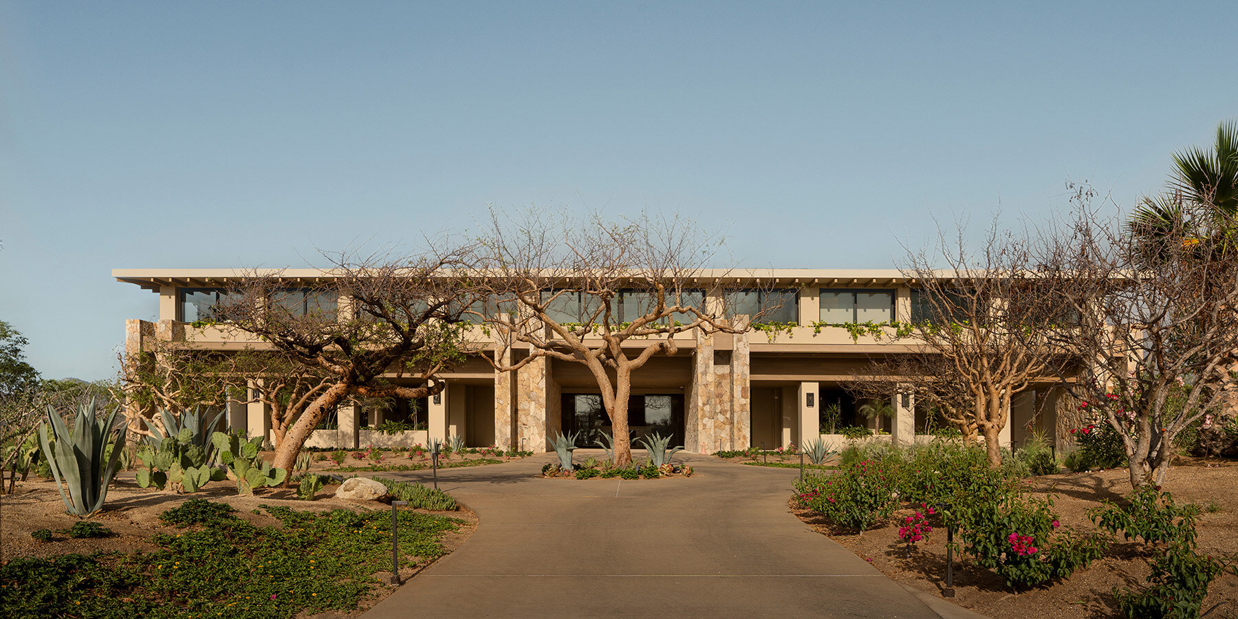 canyon-market-office-medeza-los-cabos-baja-california-sur-mexico-designboom01