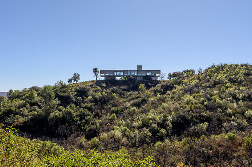 Estudiar Dragón de Nanzer Christian