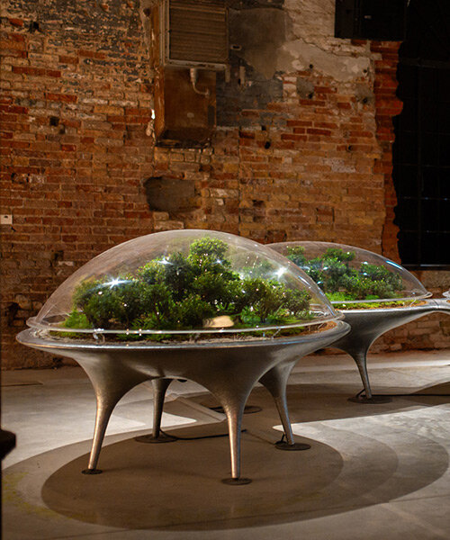 MAD's city of plants at venice biennale 2025 explores coexistence among people, plants & AI