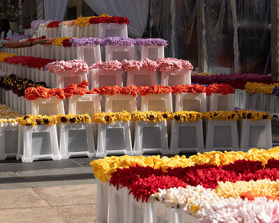 Cj hendry's flower market returns to NYC, this time at rockefeller center