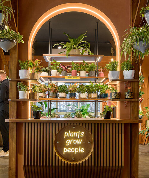 concept by sowe roots ugaoo's flagship plant store in biophilic design in pune, india