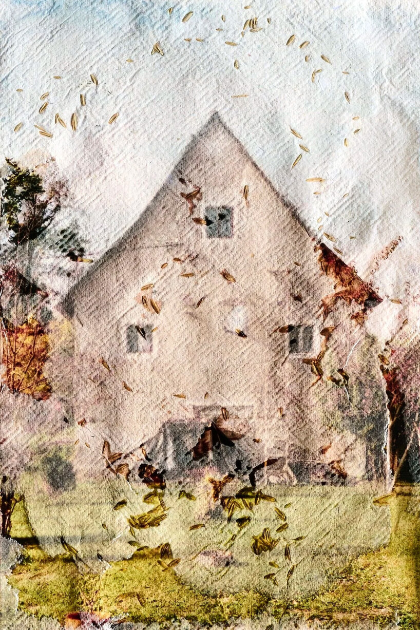 Ewelina Bialoszewska adds seeds to the pulp mixture for the photo book