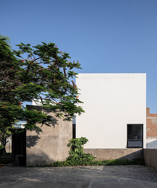 mature trees and patios shape domestic life in mexican residence by estudio villagálvez