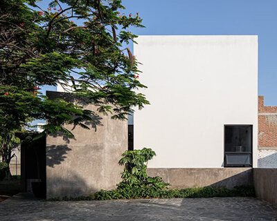 mature trees and patios shape domestic life in mexican residence by estudio villagálvez