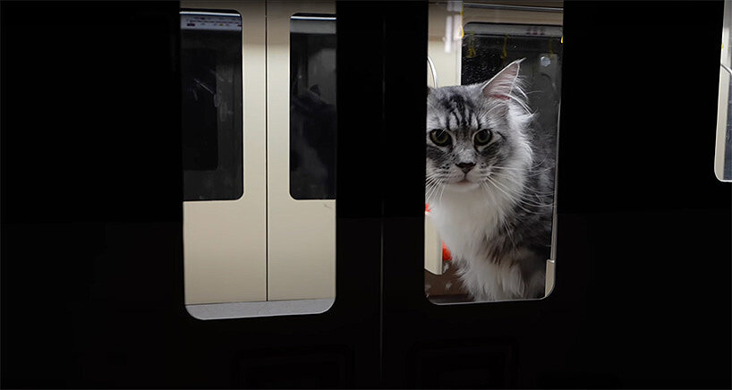 miniature metro system by xing's world carries first feline passengers in cat town