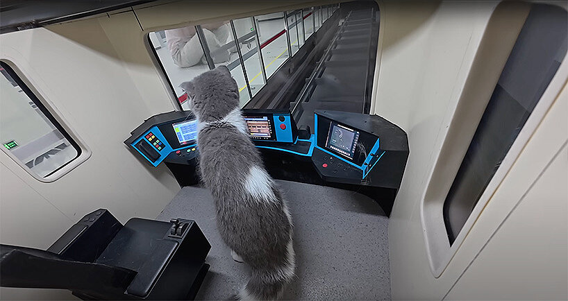 miniature metro system by xing's world carries first feline passengers in cat town