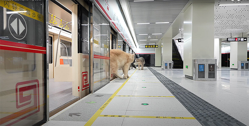 Sistema de metro en miniatura de Xing World con pasajeros de primer hijo en Cat Town