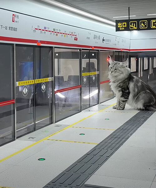 miniature metro system by xing's world carries first feline passengers in cat town