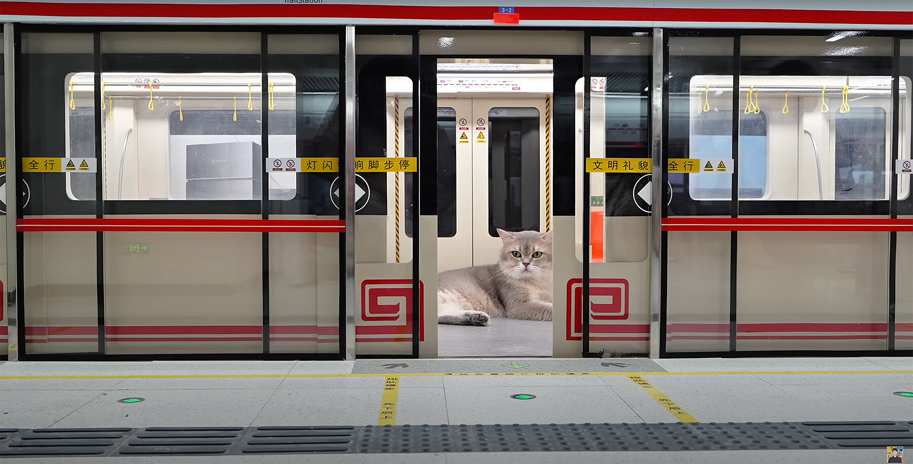 miniature-metro-system-xings-world-first-feline-passengers-cat-town-designboom-large02