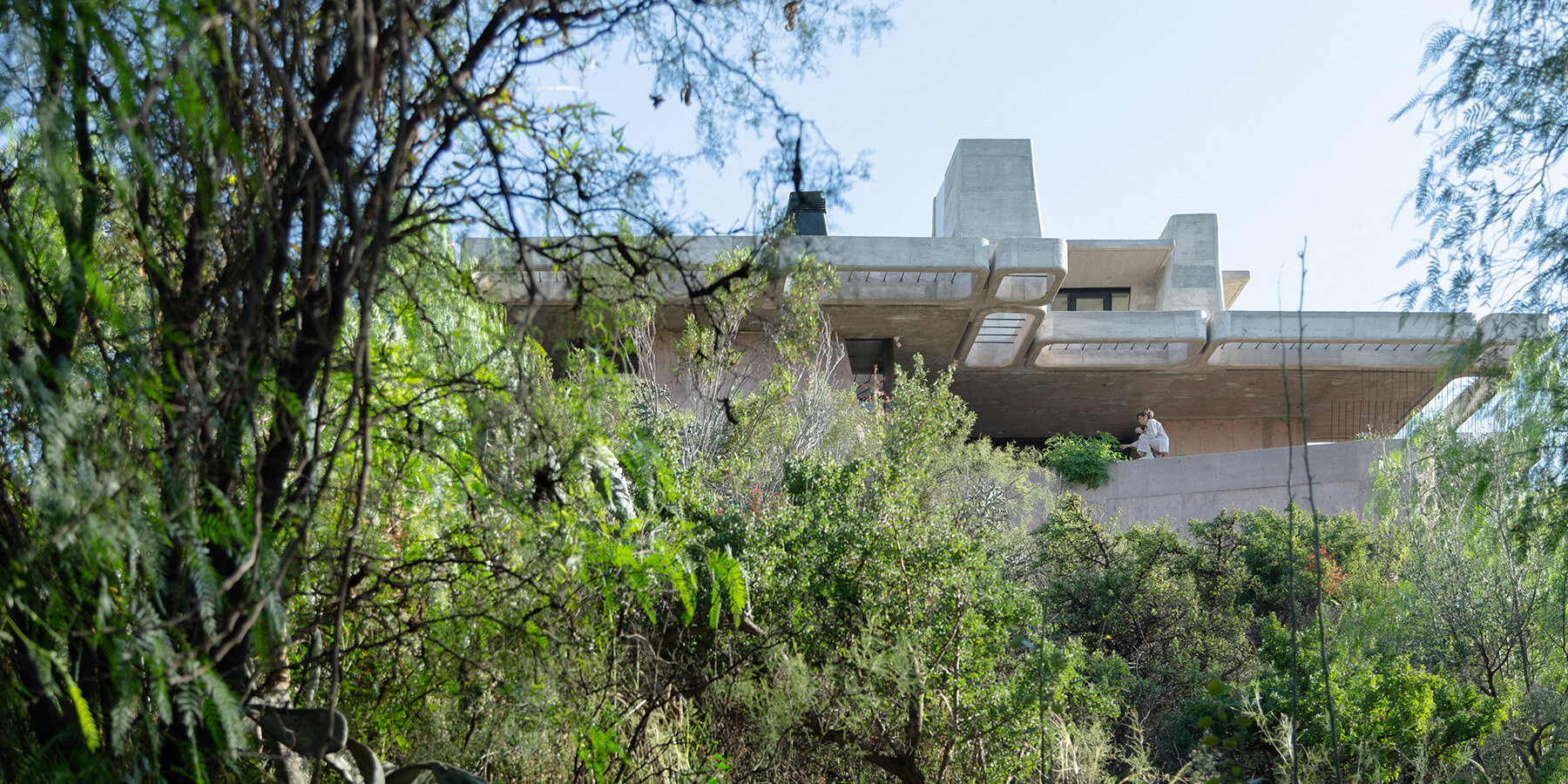 of-brutal-honesty-argentina-designboom-06a