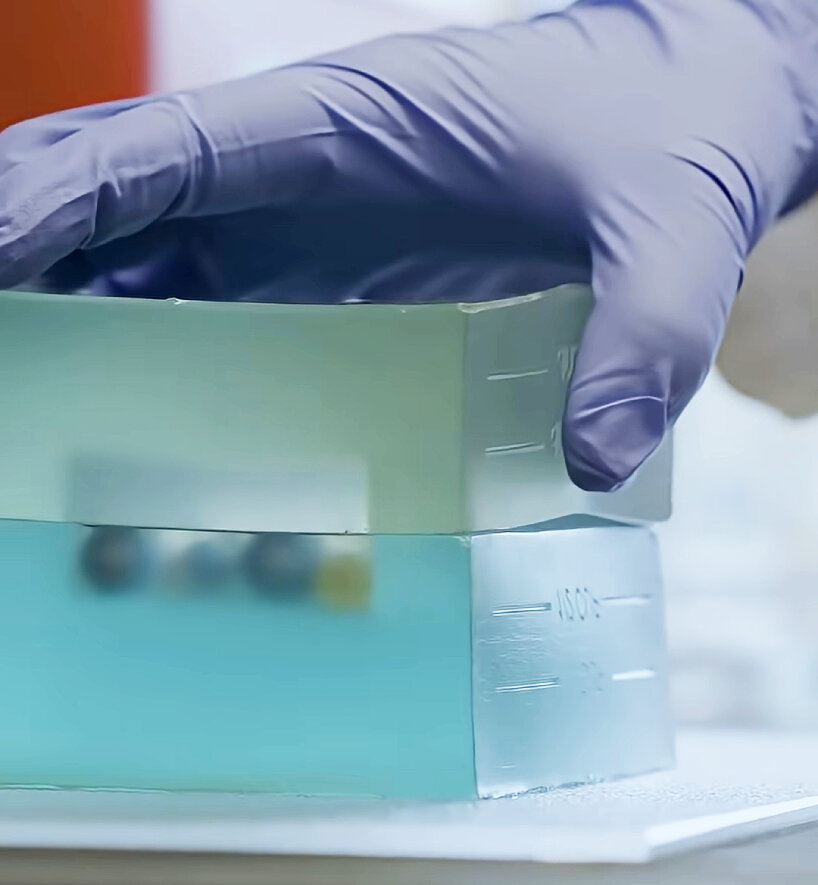 Gelatina cubitos de hielo reutilizables