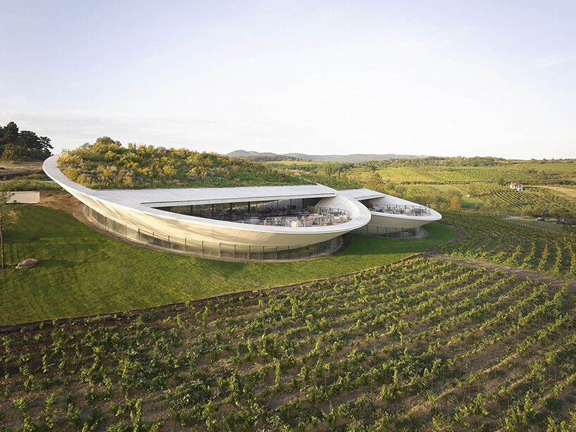 sauska tokaj winery hungary