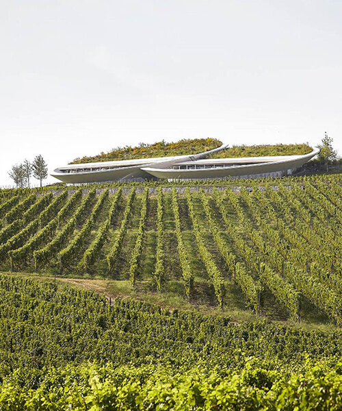 hungarian winery 'sauska tokaj' sculpted by BORD with monumental lens-shaped design