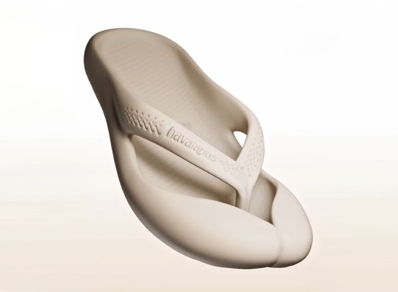 Zelarfeld Howyanas Flip Flop
