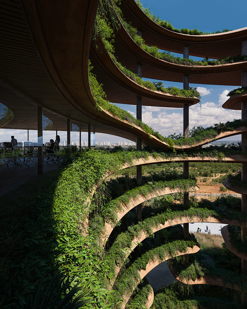 Leinemann Ortiz Solum